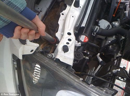 小狼被撞留车内 行驶800多公里后竟幸存 汽车之家 小狼被撞留车内 行驶800多公里后竟幸存 汽车之家