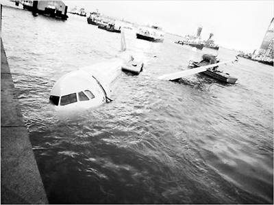 美国大客机撞鸟坠河