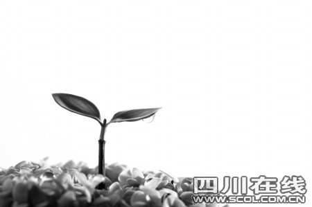 低碳将成行业新标准 中国车企在行动