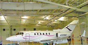 明星们的私人飞机(组图)