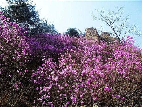 玩转自驾游之阿尔山 4款四驱城市型SUV 汽车之家