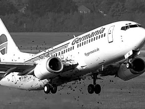 飞机撞群鸟就像撞导弹