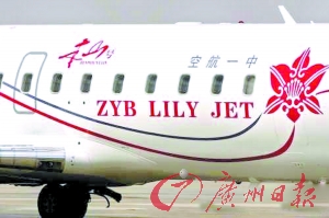 赵本山私人商务飞机曝光造价2亿元人民币(图)