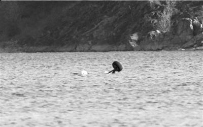 飞行器坠入十三陵水库 所载玩家身亡教练受伤(图)