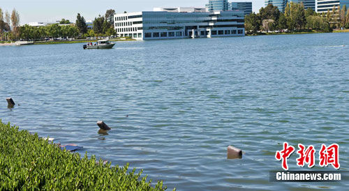 美国旧金山一小飞机坠入人工湖 3人死亡