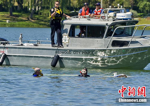 美国旧金山一小飞机坠入人工湖 3人死亡